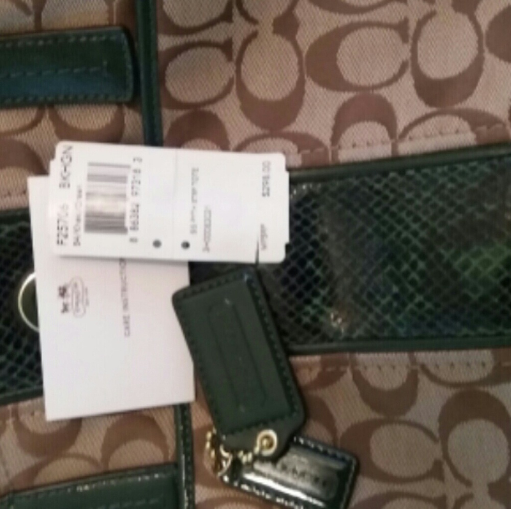 Coach Signature Stripe Python Purse - Picture 7 of 7